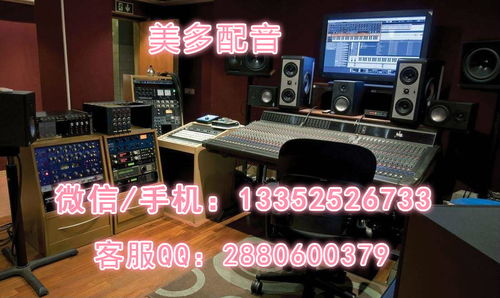 淡水銀魚市場行情與錄音制作應(yīng)用